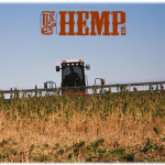 Our First Hemp Catalog