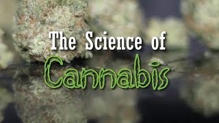 The Science of Cannabis (New Documentary)