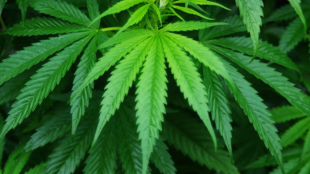 Pennsylvania: Harrisburg Marijuana Decriminalization Measure Takes Effect