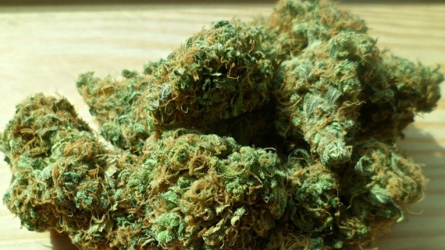 Chuck Schumer Introduces Far-Reaching Marijuana Descheduling Bill