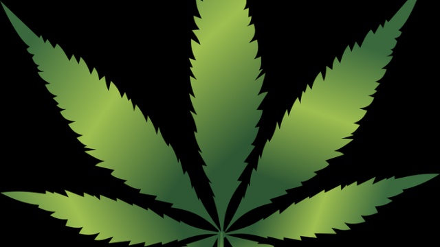 NORML Endorses Michigan’s Marijuana Legalization Proposal 1
